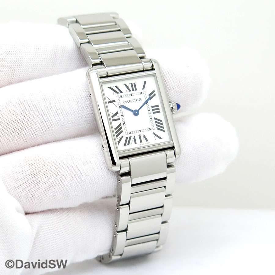 CartierSantos de Cartier dko-503 2