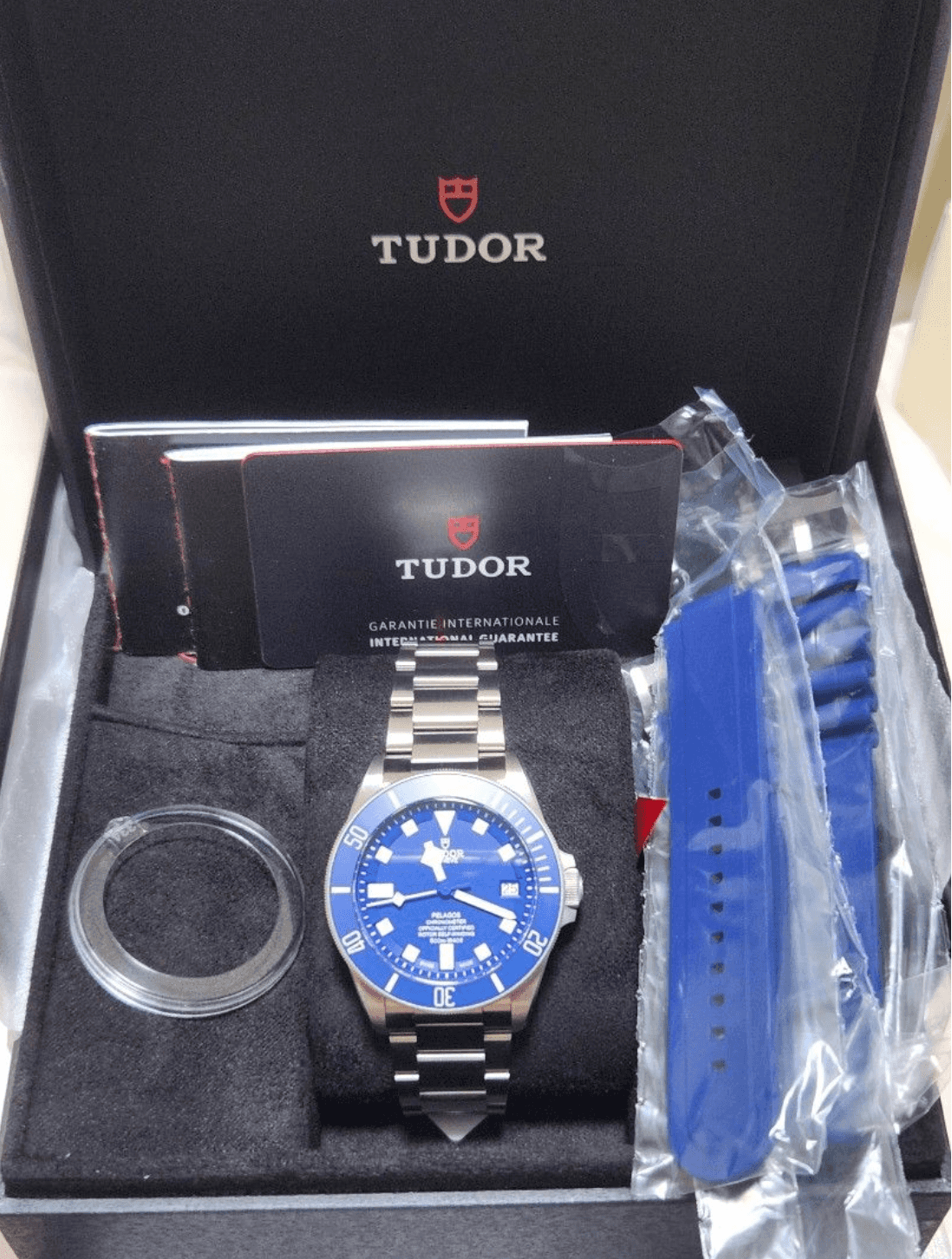 TudorPelagos gim-096 1