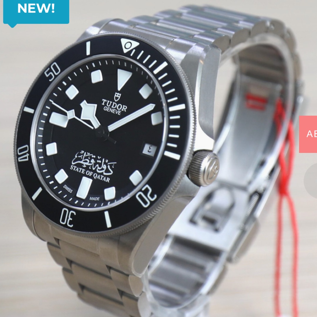 Tudor Pelagos –