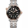 Seamaster 300 Luxury Watch Prices