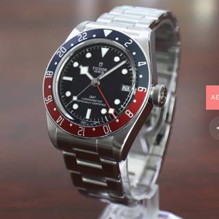 Tudor Black Bay  Tudor Black Bay