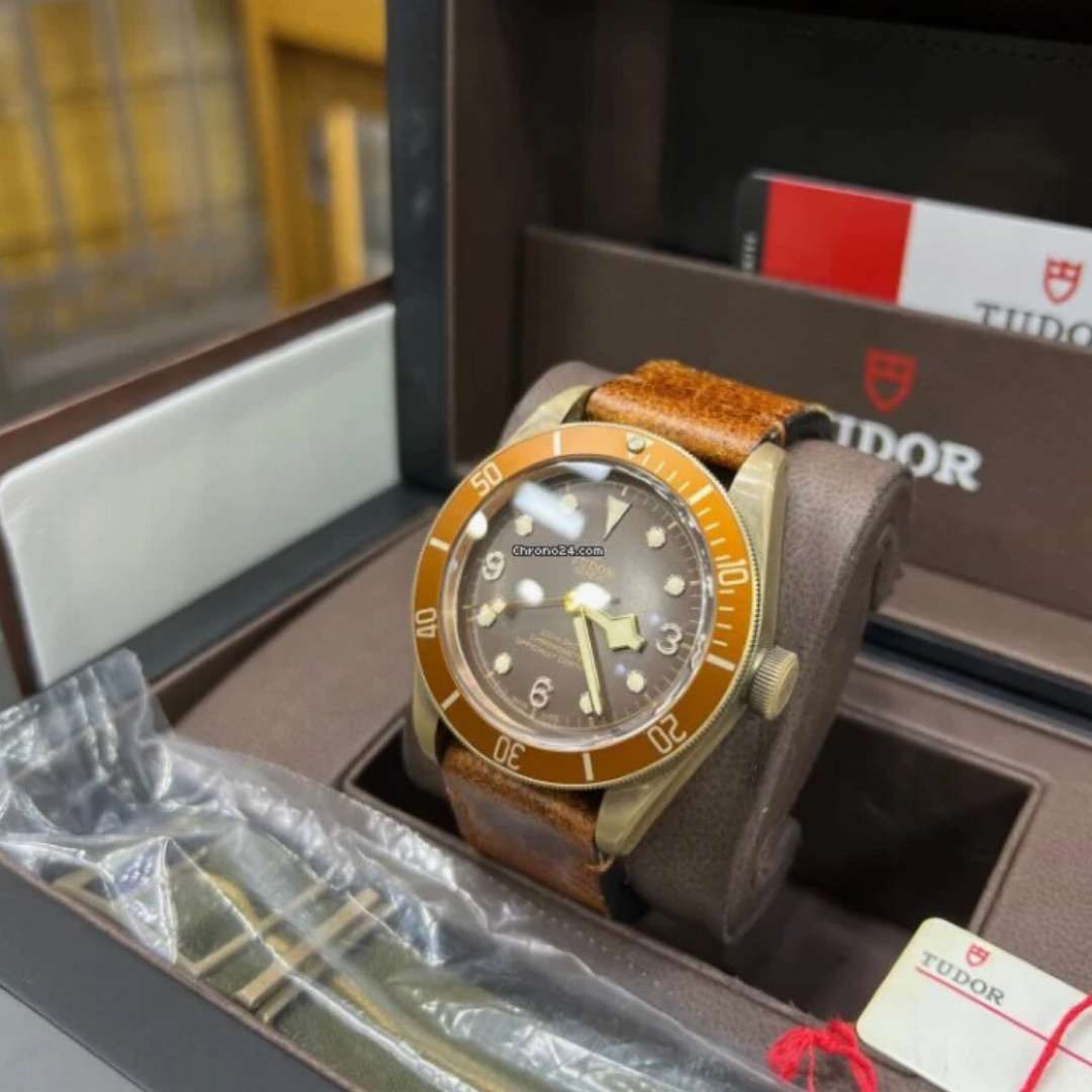 TudorBlack Bay ezn-316 2 TudorBlack Bay ezn-316 2