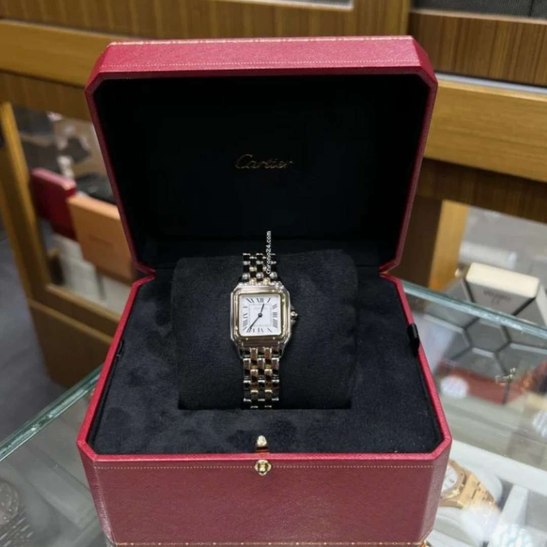 CartierRévélation d'une Panthere leh-354 0 CartierRévélation d'une Panthere leh-354 0