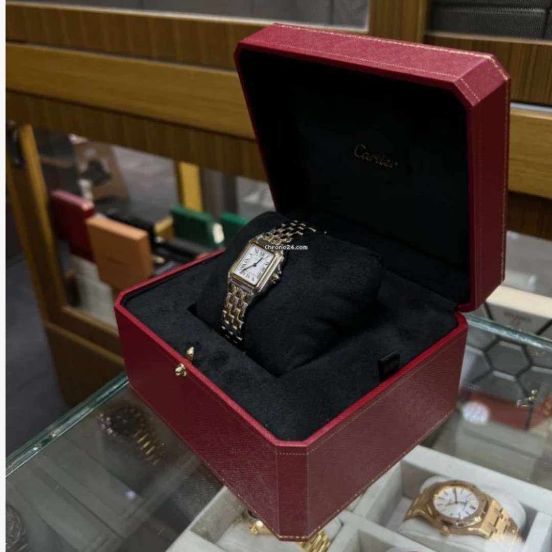 CartierRévélation d'une Panthere leh-354 1 CartierRévélation d'une Panthere leh-354 1