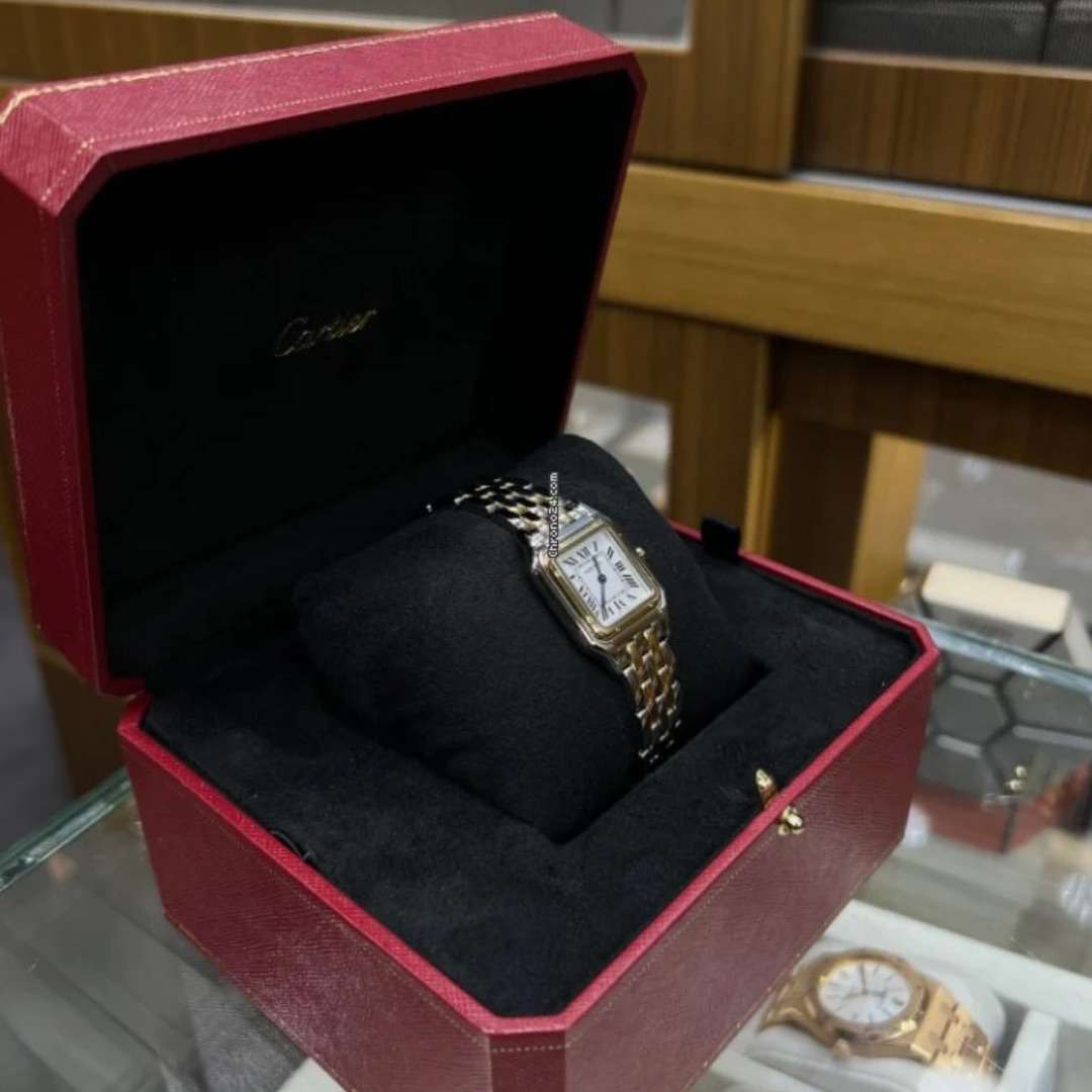 CartierRévélation d'une Panthere leh-354 2 CartierRévélation d'une Panthere leh-354 2