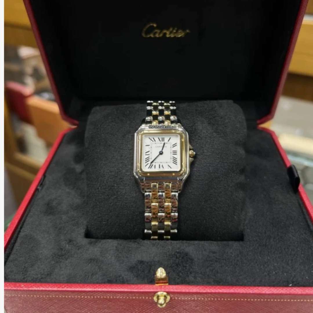 CartierRévélation d'une Panthere leh-354 3 CartierRévélation d'une Panthere leh-354 3