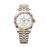Sky-Dweller Luxury Watch Prices Sky-Dweller Luxury Watch Prices