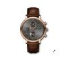 Portofino Luxury Watch Prices Portofino Luxury Watch Prices