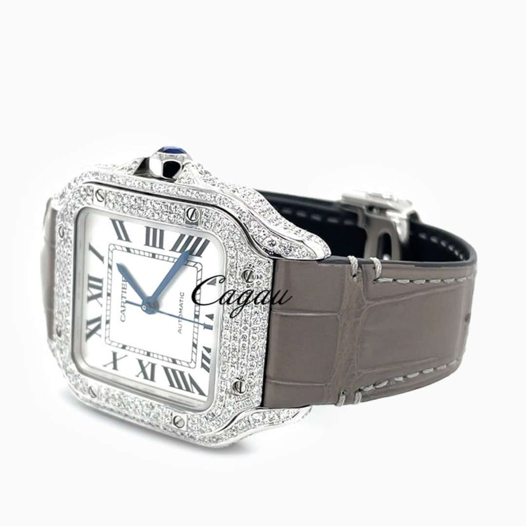 CartierSantos de Cartier djf-038 2 CartierSantos de Cartier djf-038 2
