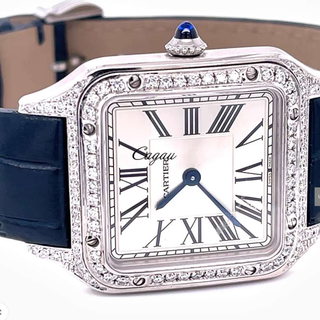 CartierSantos de Cartier ebw-660 1 CartierSantos de Cartier ebw-660 1