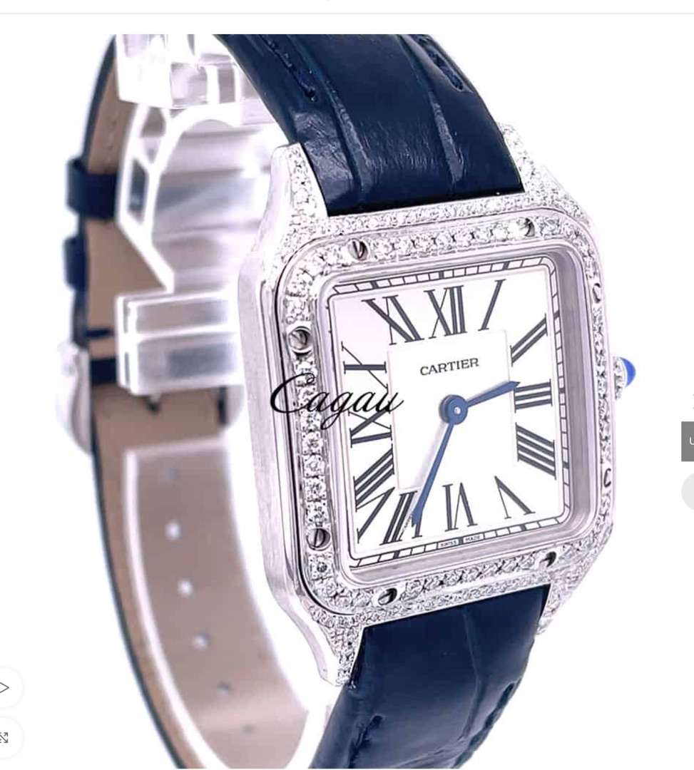 CartierSantos de Cartier ipm-872 1 CartierSantos de Cartier ipm-872 1