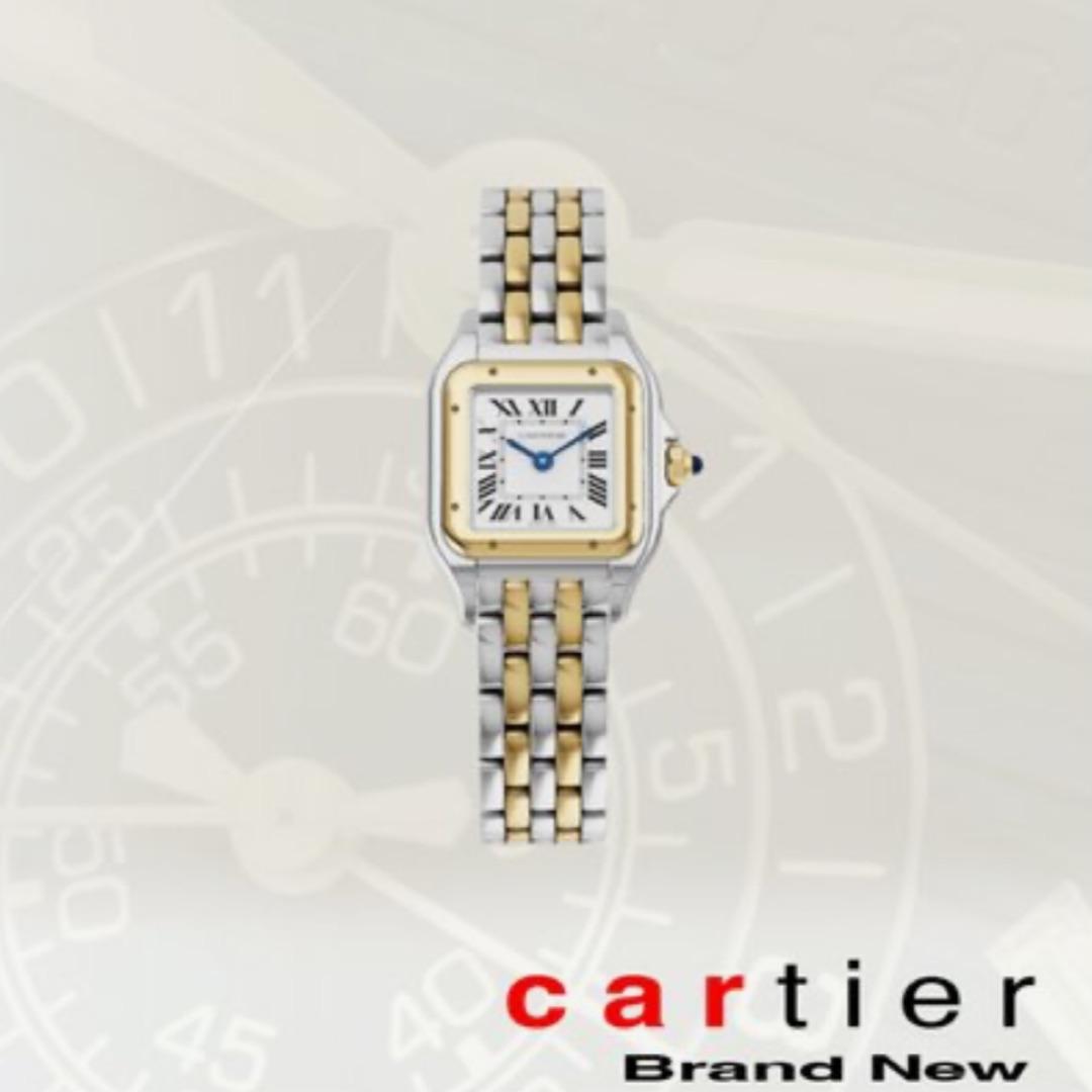 CartierRévélation d'une Panthere dwi-049 CartierRévélation d'une Panthere dwi-049